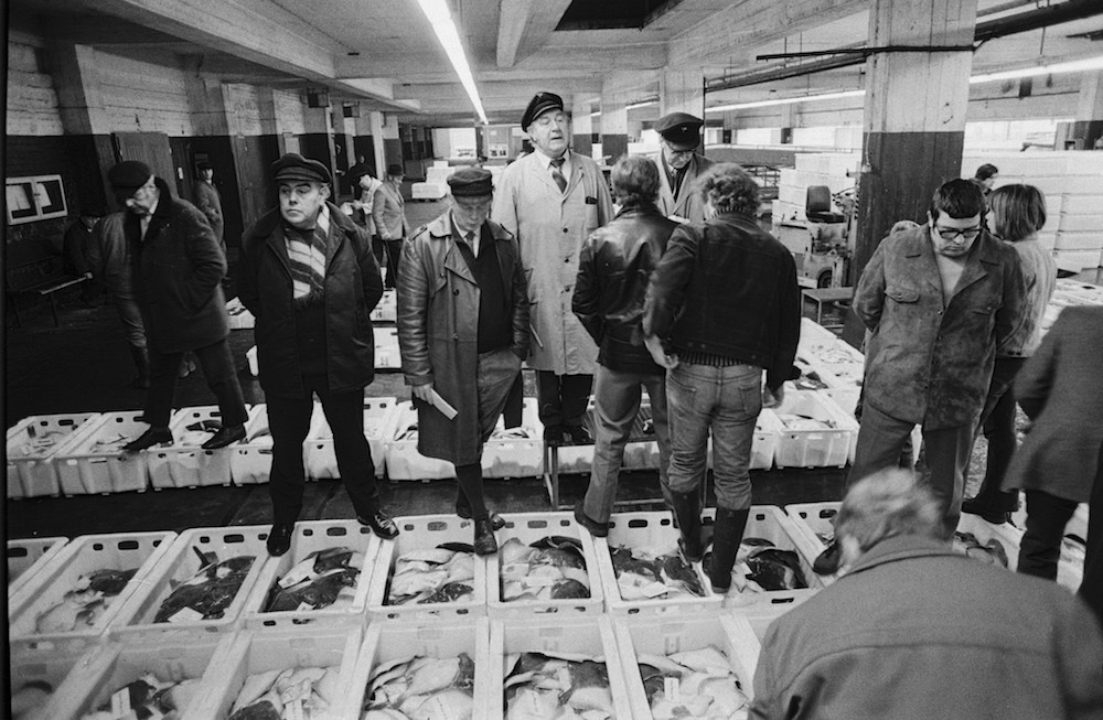 fischauktion-am-fischmarkt-in-hamburg-april-1973